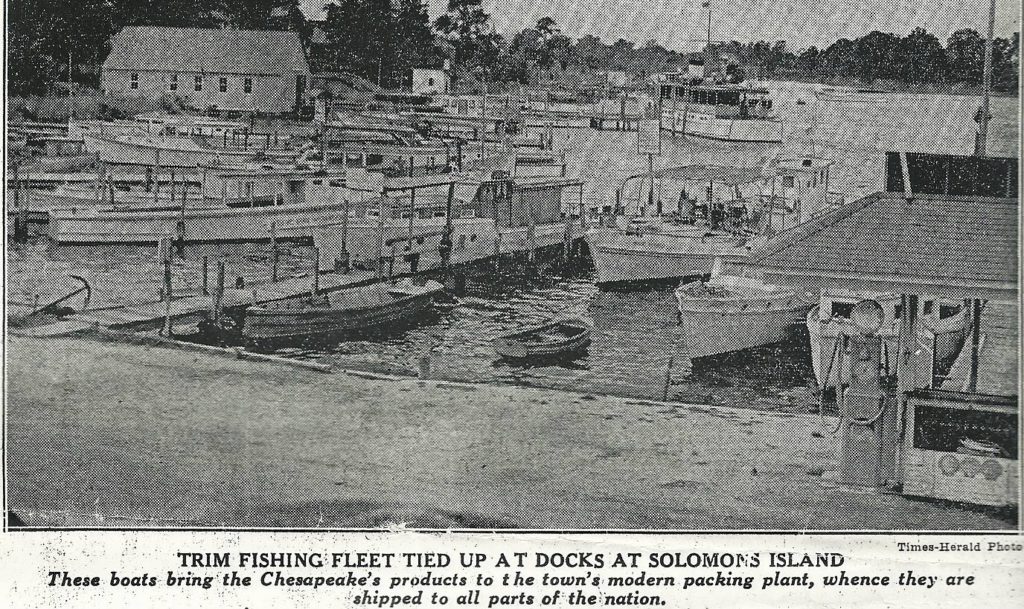 Capt. Joe Lore's fishing fleet at Solmon's Island Md. Times Herald Photo