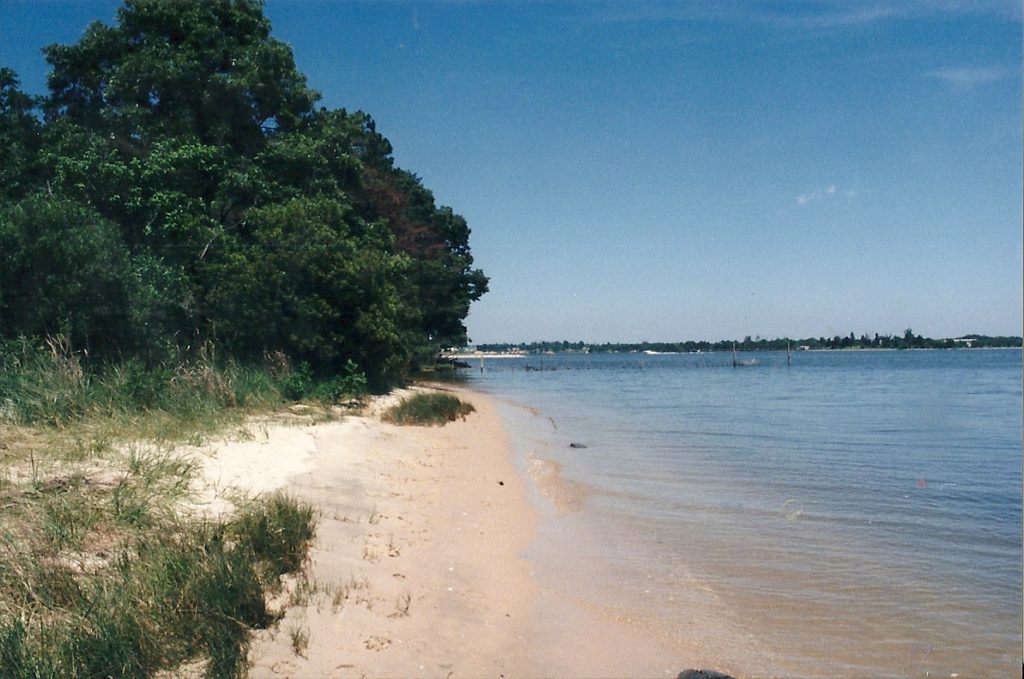 Myrtle Point beach at park is a great place for shorefishing as it is a public beach and a cast of a line finds the bait going into deep water  with no need of a pier or a boat.  This scene is without scum-sucking thugs and drug dealers.  THE CHESAPEAKE TODAY photo
