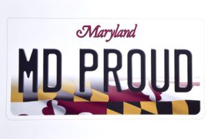 MD-LICENSE1