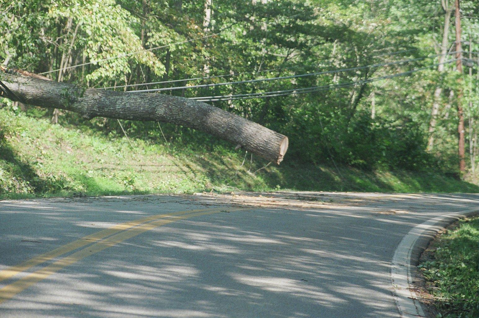 hurricane-isabel-rt-244-tree-cut – THE CHESAPEAKE TODAY